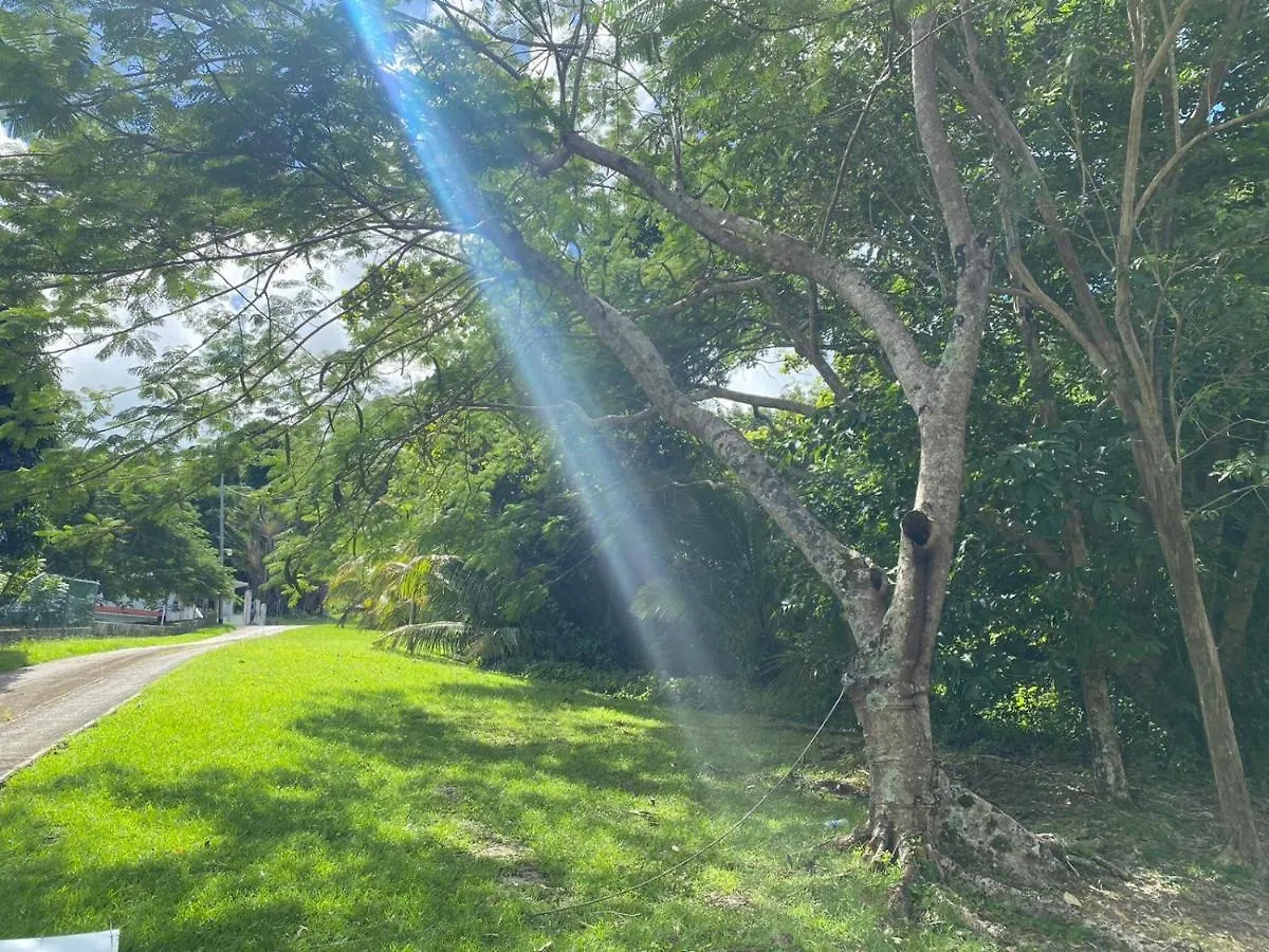 The Serene House Bed & Breakfast Luquillo 0*,  Puerto Rico