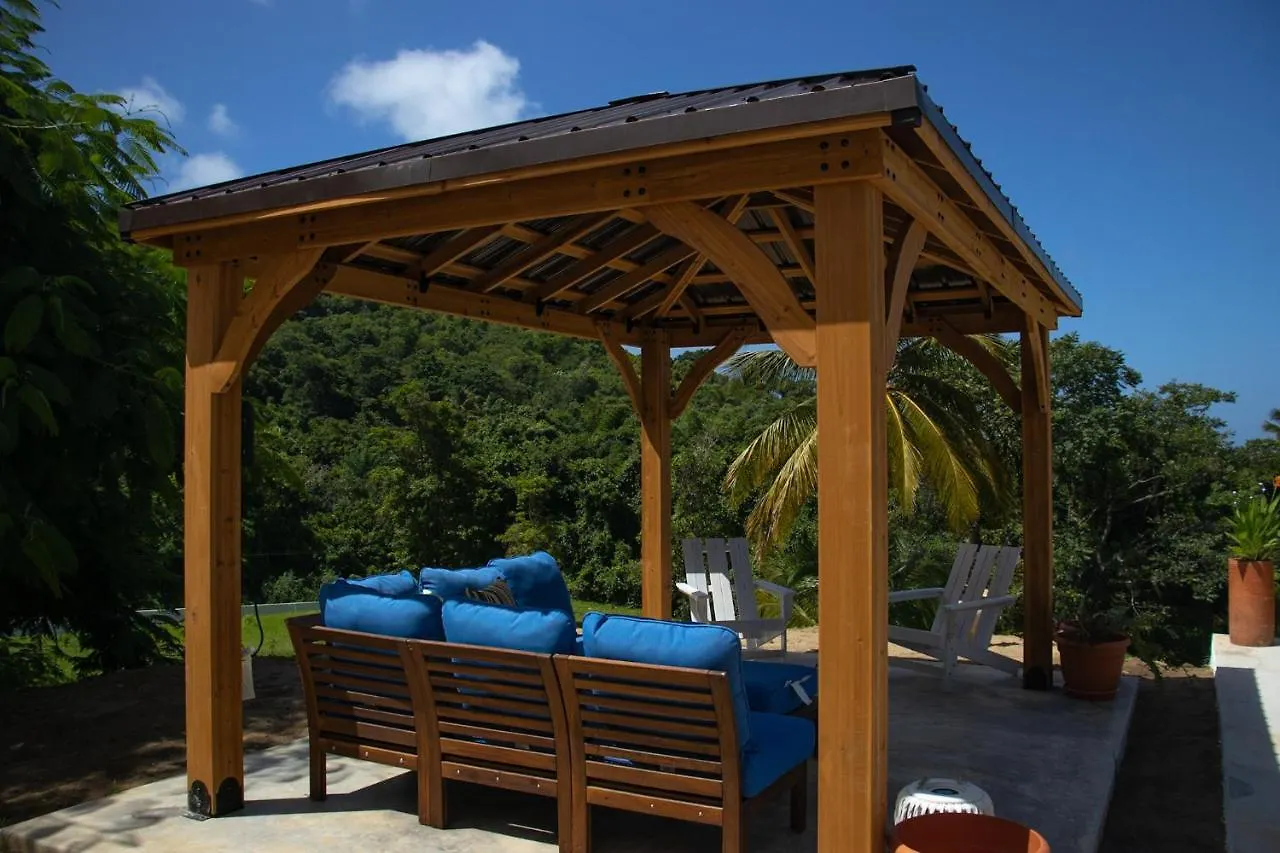 The Serene House Bed & Breakfast Luquillo