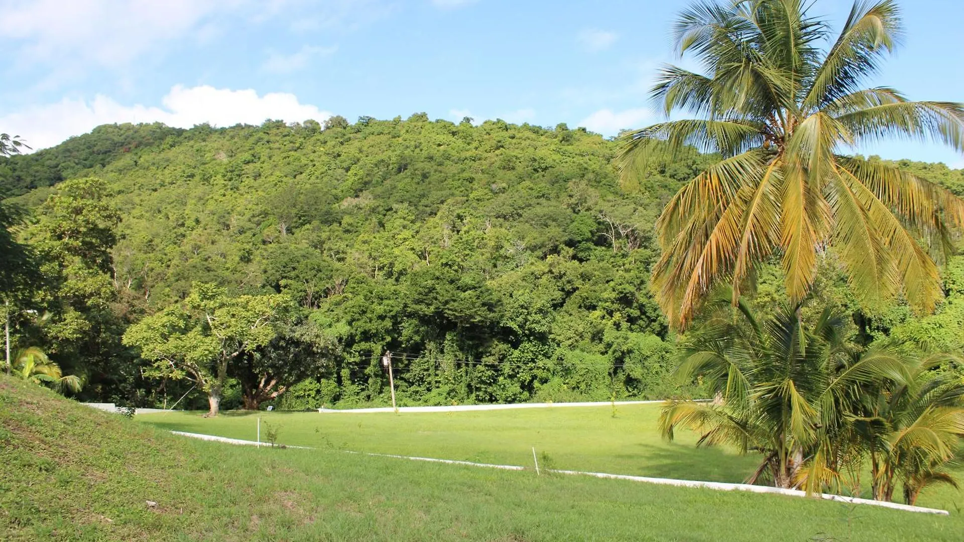 The Serene House Bed & Breakfast Luquillo 0*,